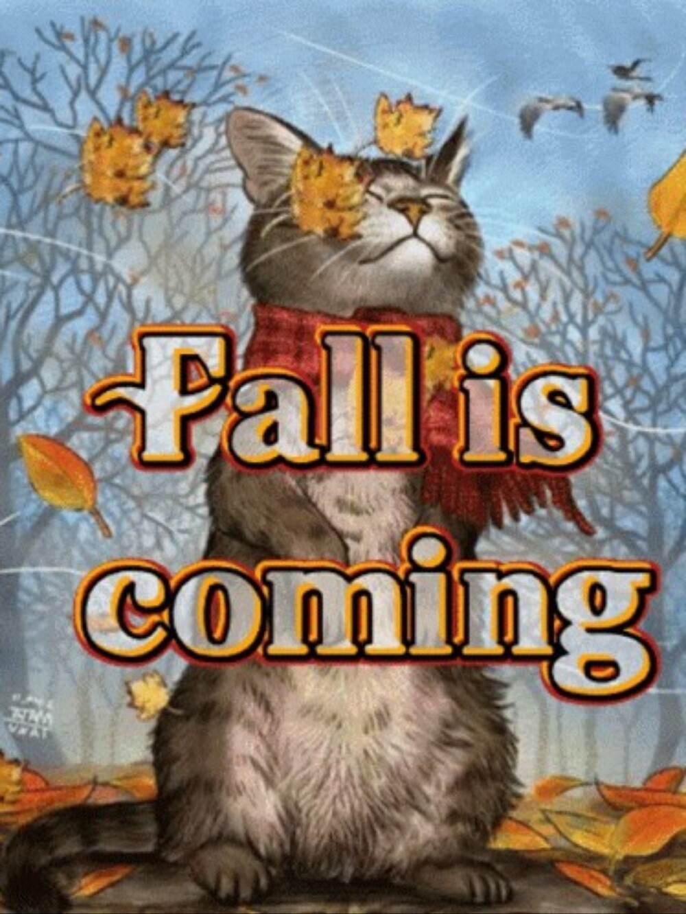 Fall Is On It's Way!